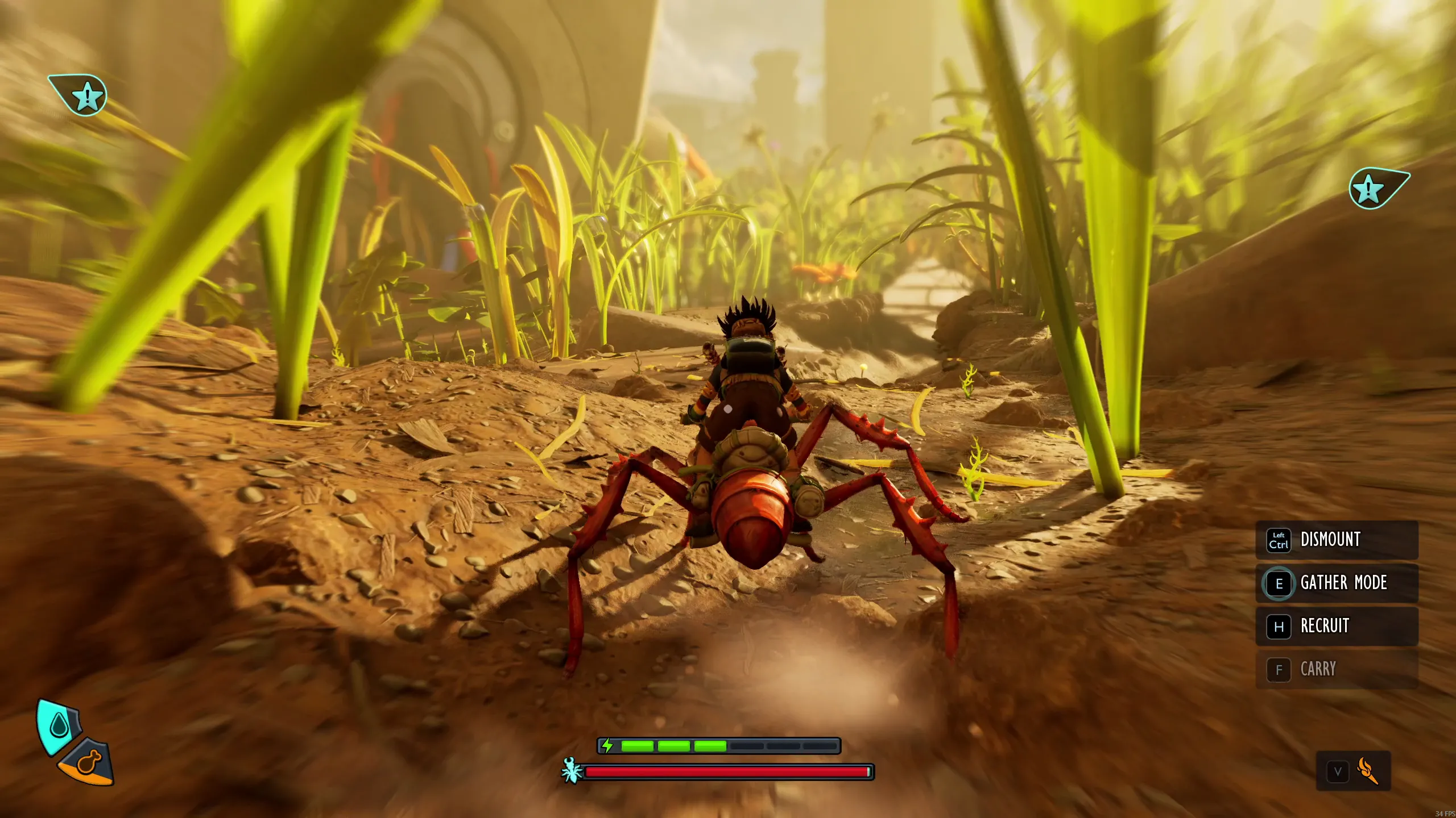 Buggies - the Best Kind of Bugs!